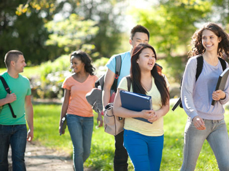 绿色环保无污染的ddos在线攻击测试网站